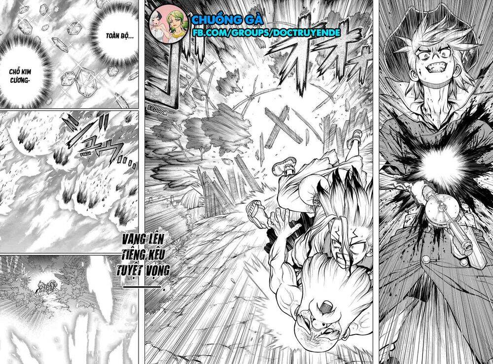 Dr.stone Chapter 189 - 19