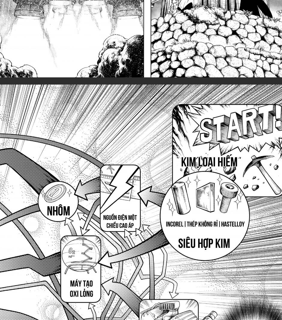 Dr.stone Chapter 198 - 22