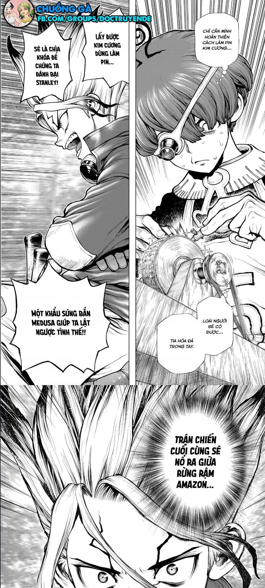 Dr.stone Chapter 183 - 13