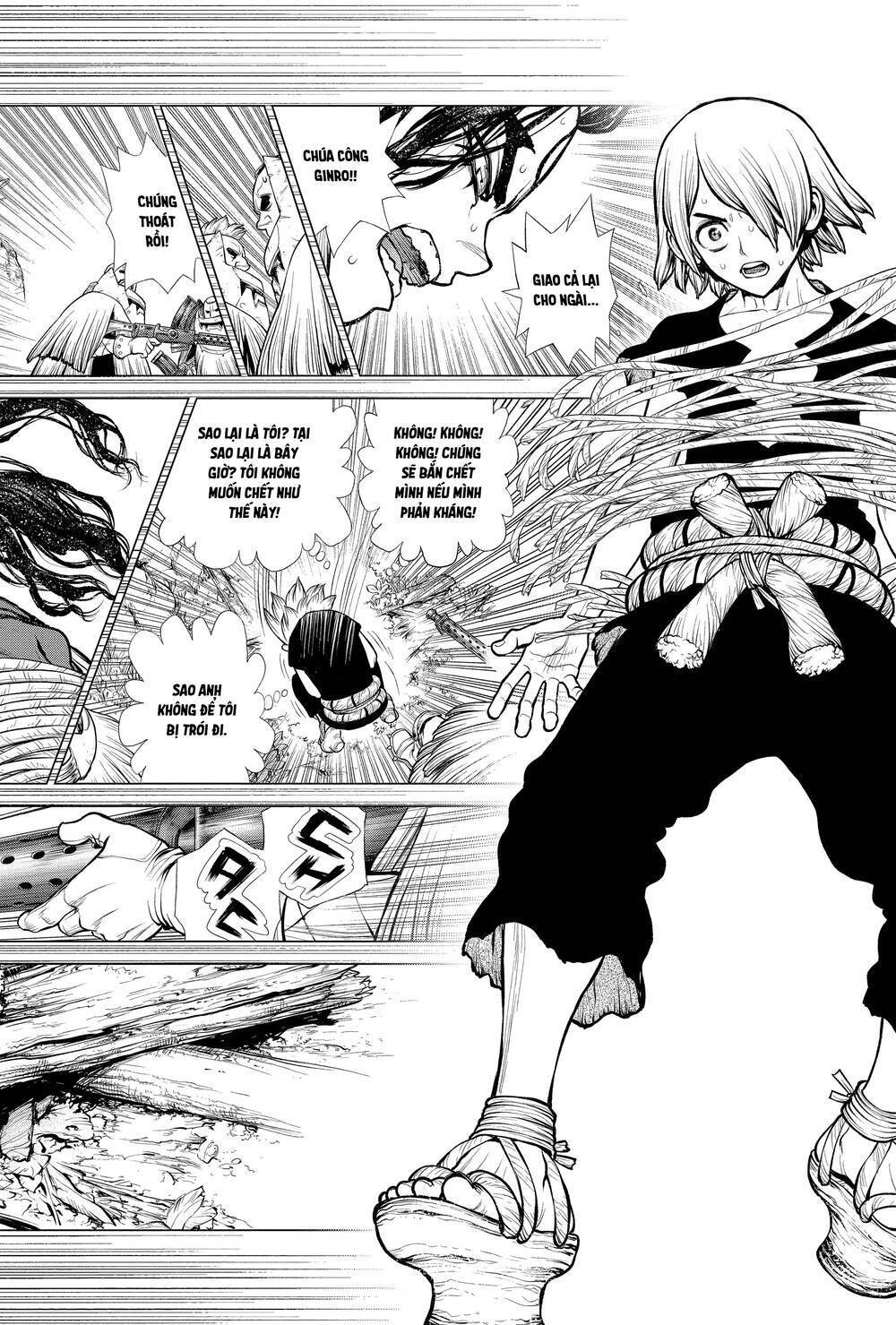 Dr.stone Chapter 186 - 8