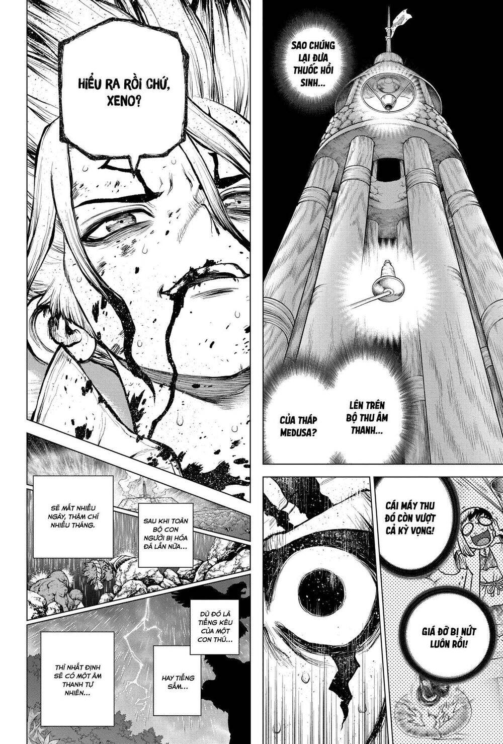 Dr.stone Chapter 192 - 14