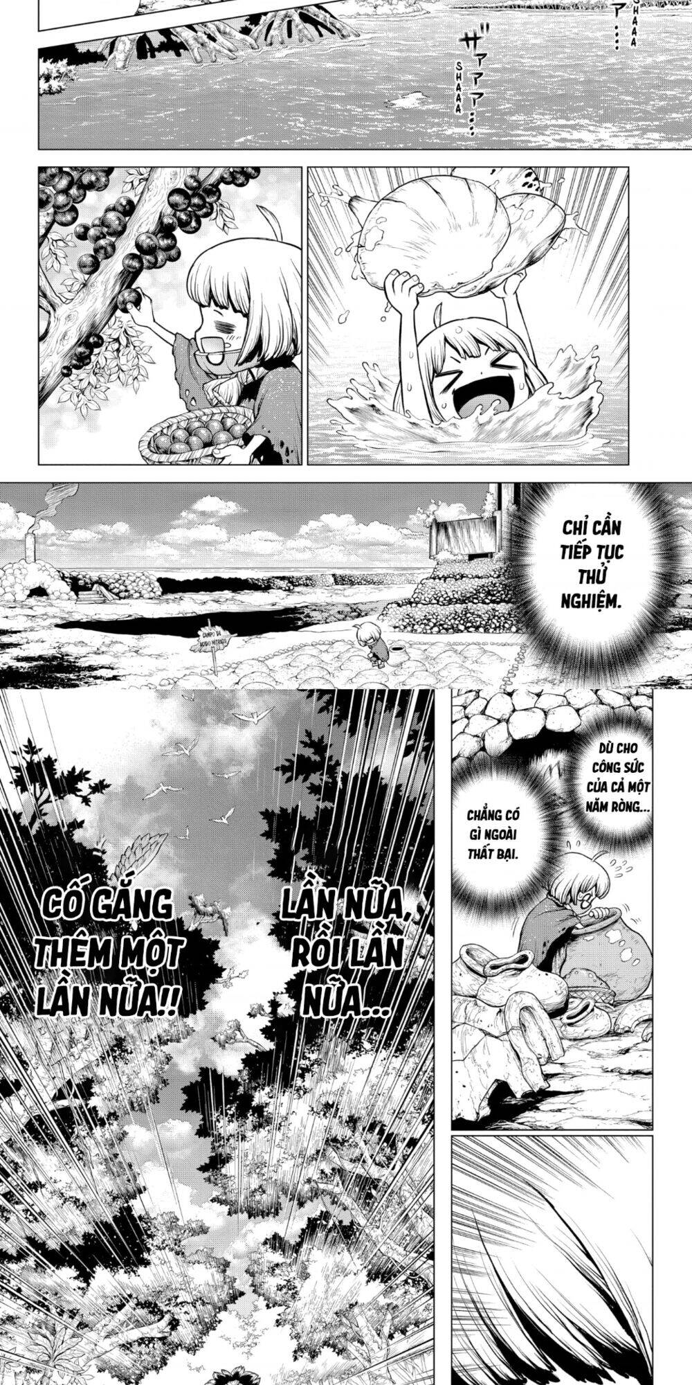 Dr.stone Chapter 196 - 9