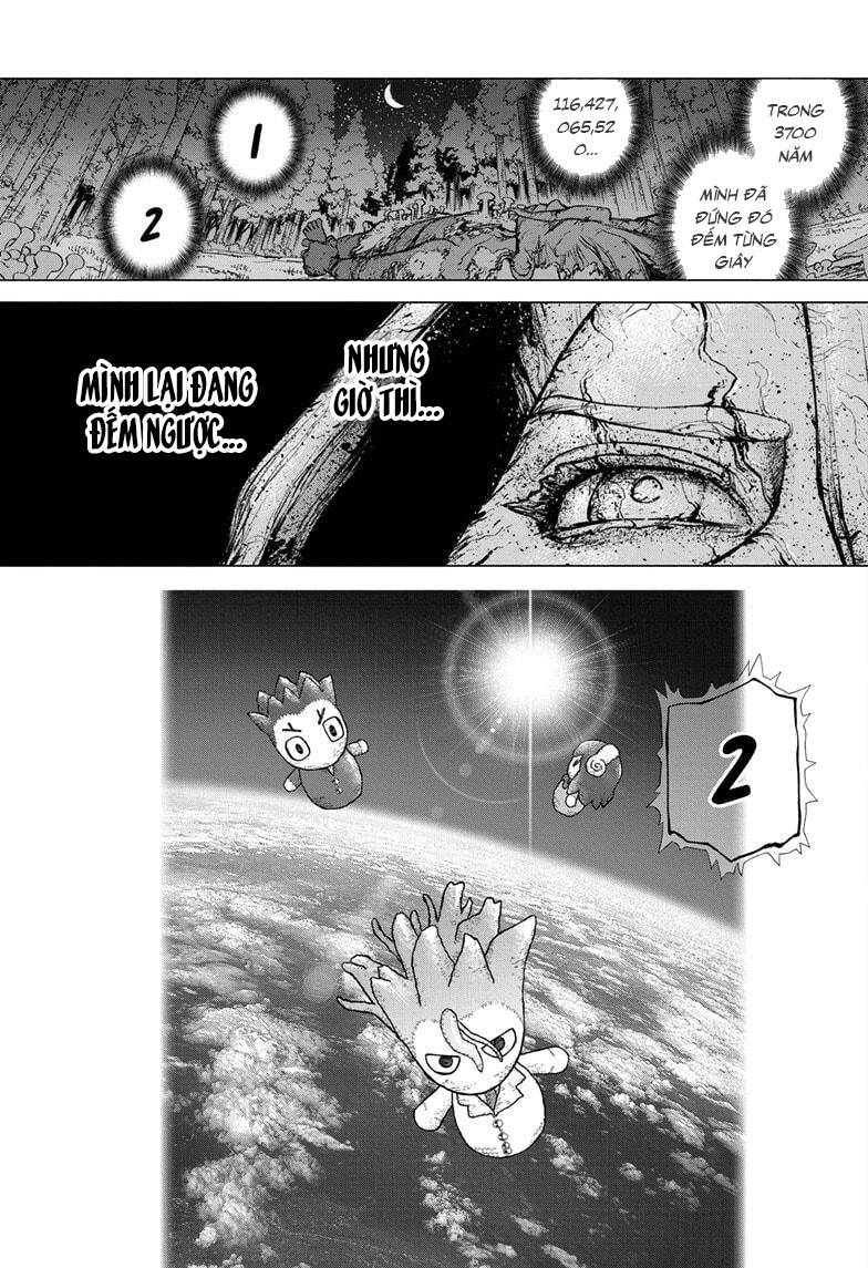 Dr.stone Chapter 223 - 19