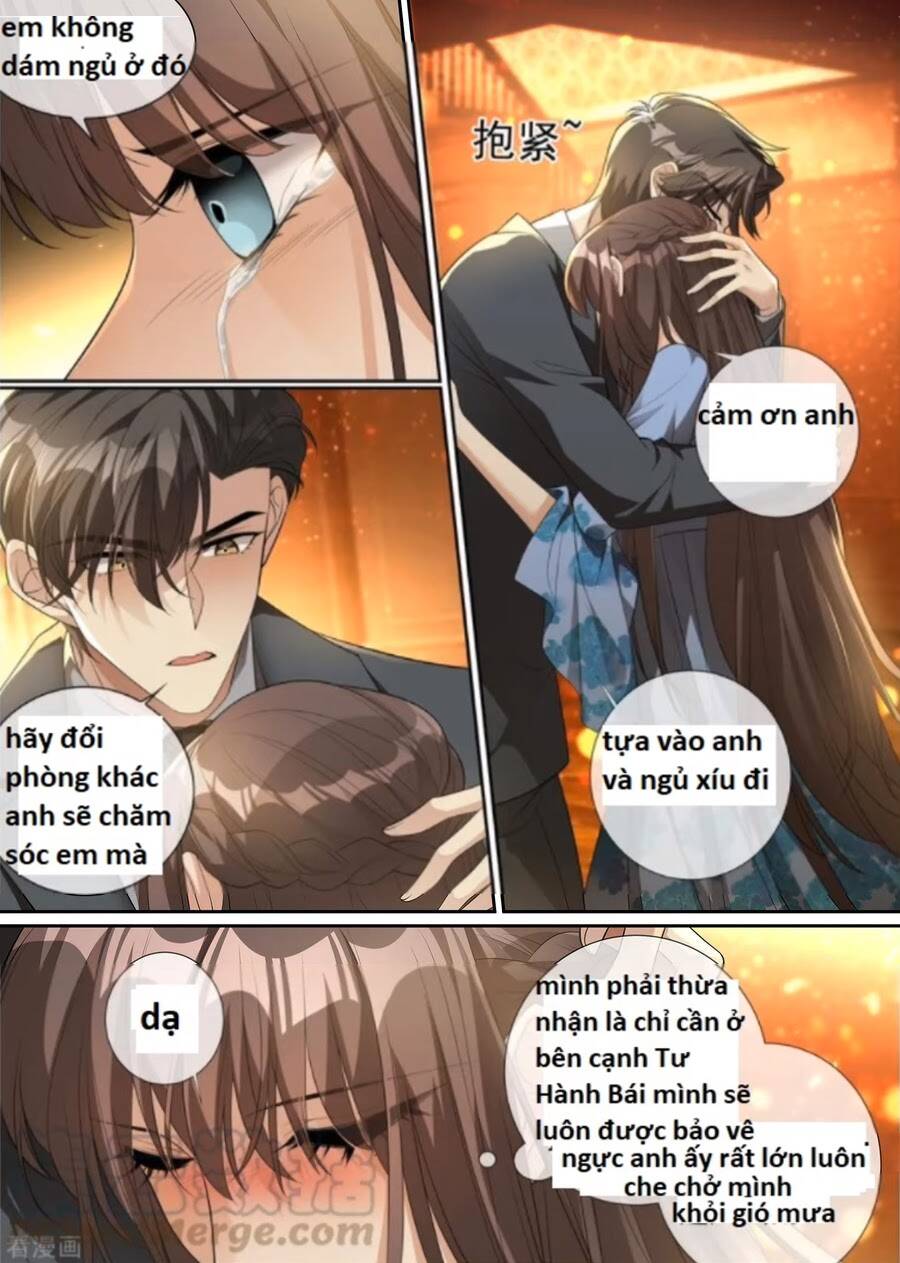 Thiếu Soái! Vợ Ngài Lại Bỏ Trốn Chapter 303 - 5