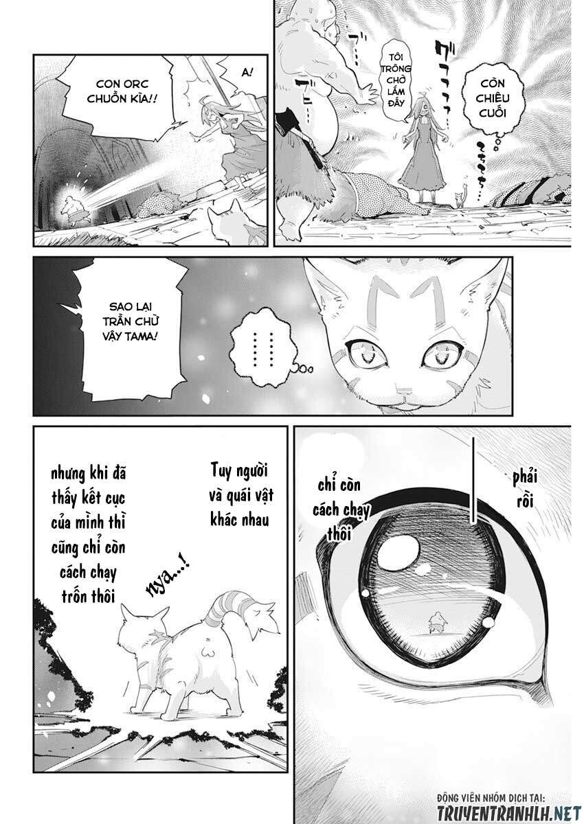 I Am Behemoth Of The S Rank Monster But I Am Mistaken As A Cat And I Live As A Pet Of Elf Girl Chapter 39 - 18