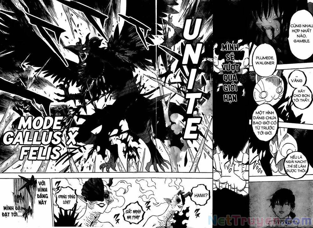 Black Clover - Thế Giới Phép Thuật Chapter 287 - 5