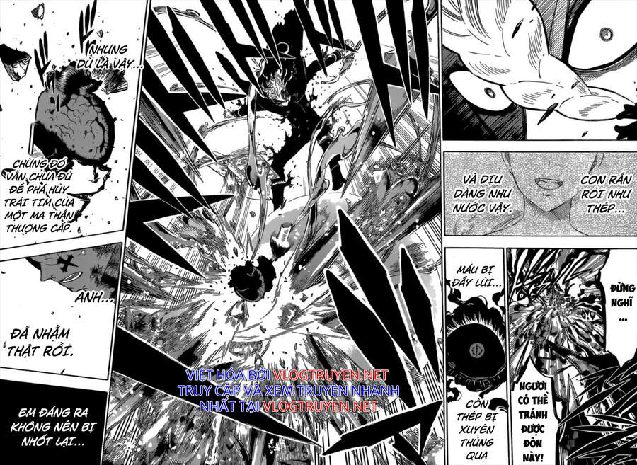 Black Clover - Thế Giới Phép Thuật Chapter 303 - 9