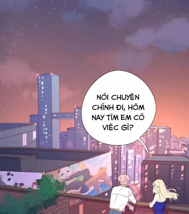 Cạm Bẫy Ngọt Ngào Chapter 82 - 2