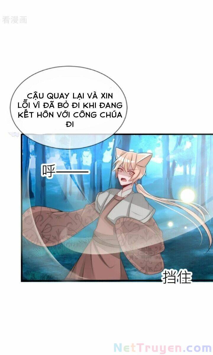 Kế Hoạch Sủng Ái Của Tiểu Công Chúa Chapter 65 - 13