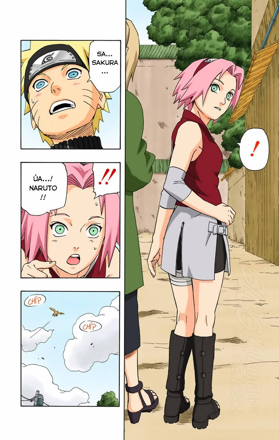 Naruto Full Màu Chapter 245 - 19