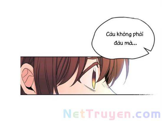 Luật Của Tiểu Thuyết Mạng Chapter 92 - 52