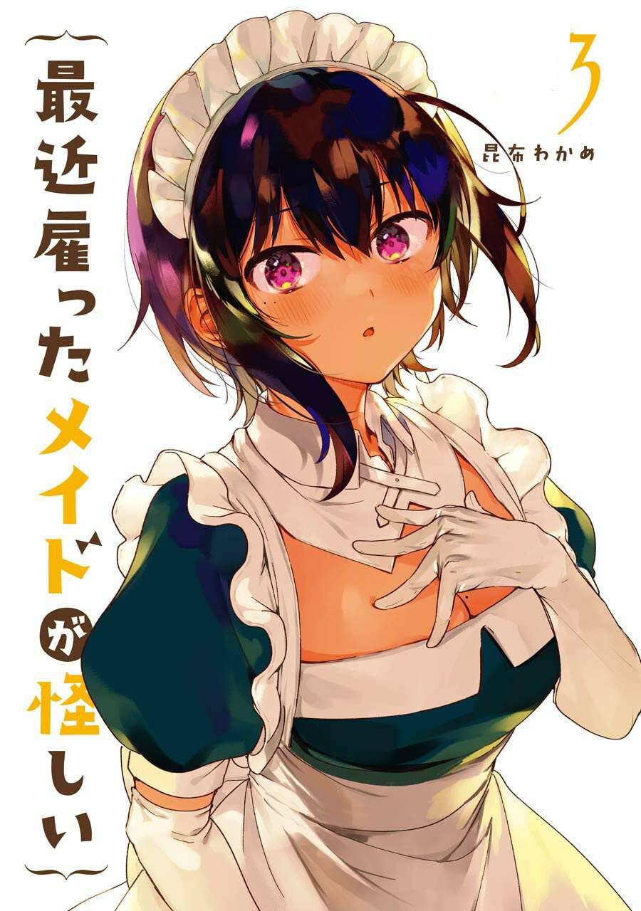 Saikin Yatotta Meido Ga Ayashii Chapter 25 - 3