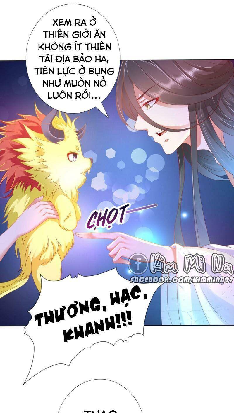 Sư Phụ, Cái Kia Ăn Ngon! Chapter 99.1 - 32