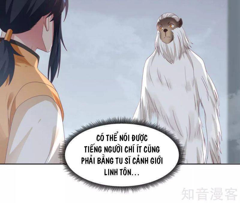 Hỗn Độn Đan Thần Chapter 146 - 17