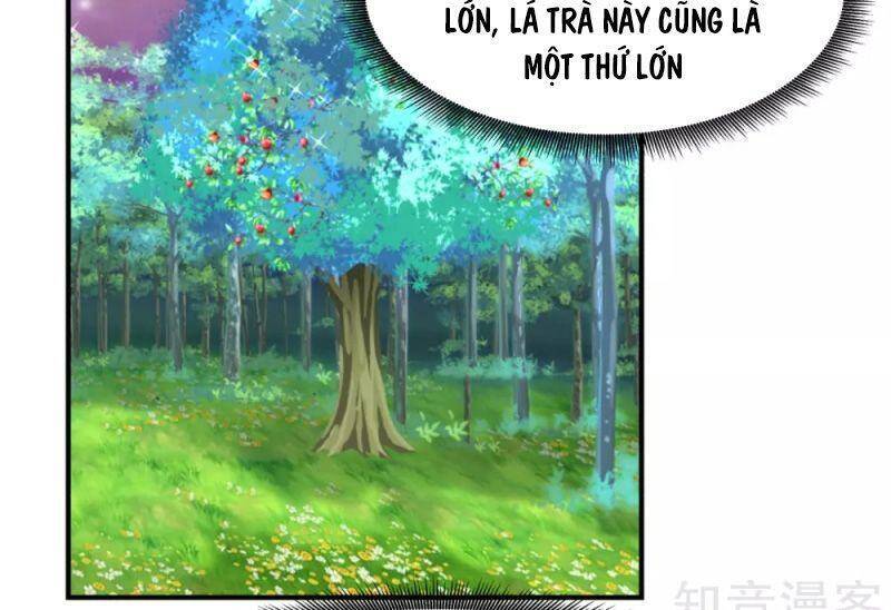 Hỗn Độn Đan Thần Chapter 156 - 15