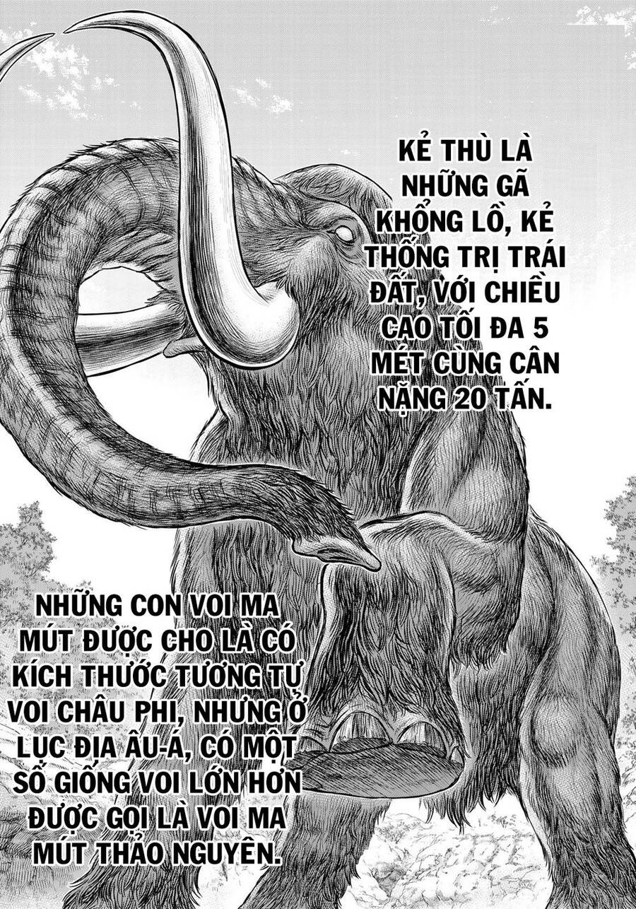 Trở Lại Thời Kì Đồ Đá Chapter 42 - 18