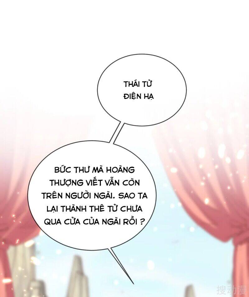 Thị Huyết Y Phi Chapter 67 - 17