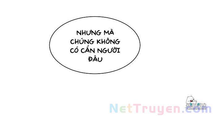 Thiếu Nữ 1M8 Chapter 19 - 82