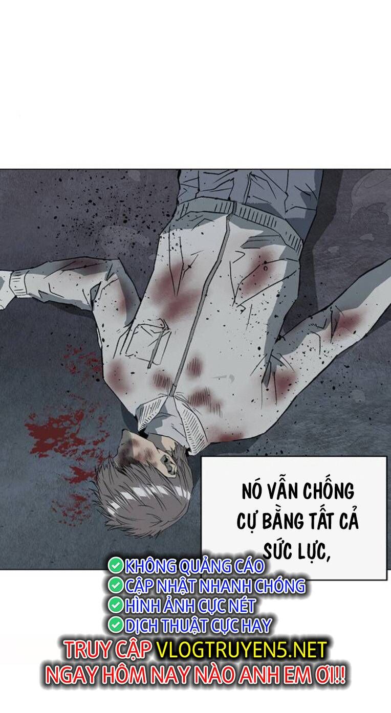 Anh Hùng Yếu Chapter 254 - 94