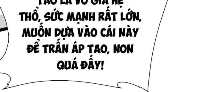 Toàn Thuộc Tính Võ Đạo Chapter 48 - 239