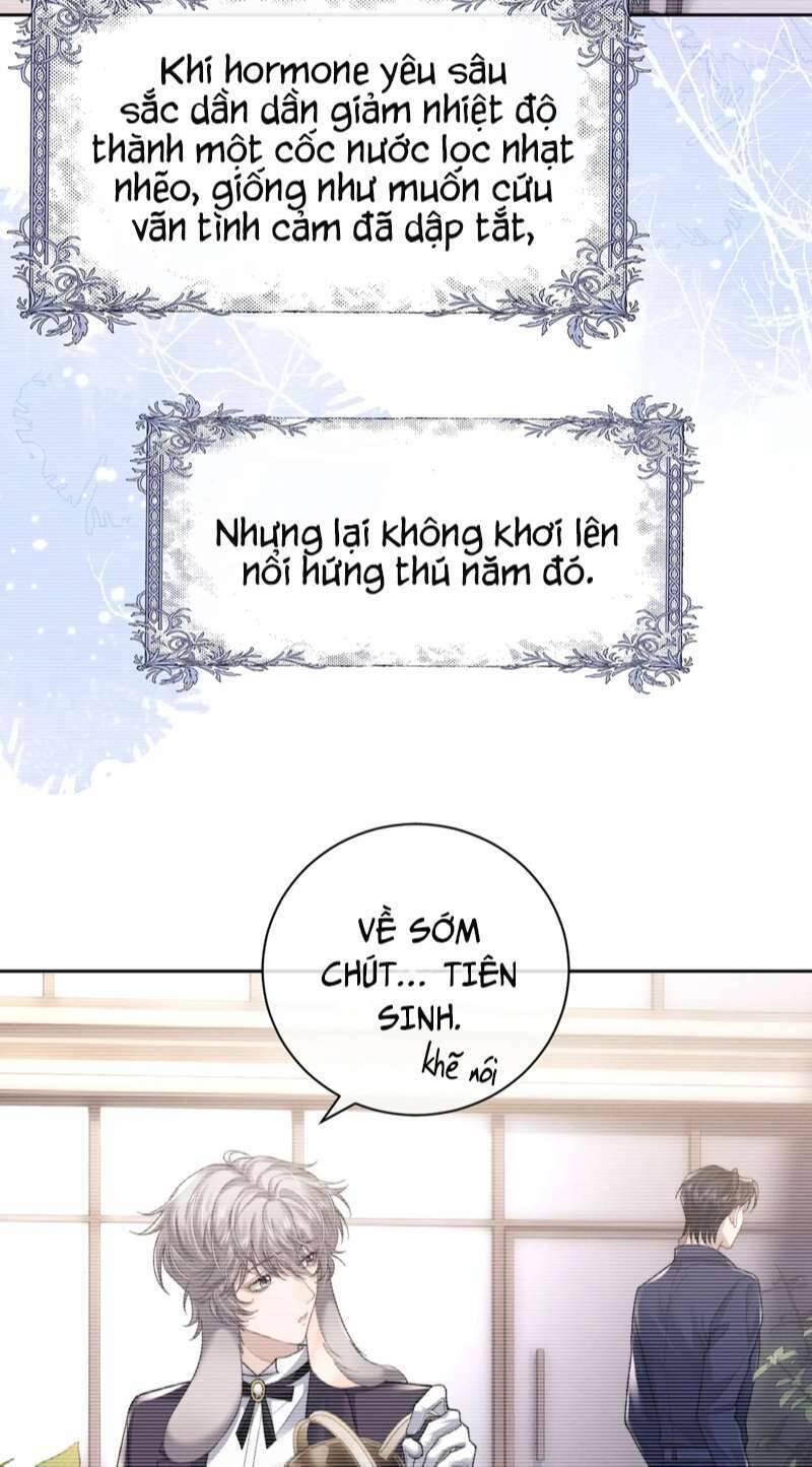 Chấp Sự Thỏ Cụp Tai Chapter 52 - 13