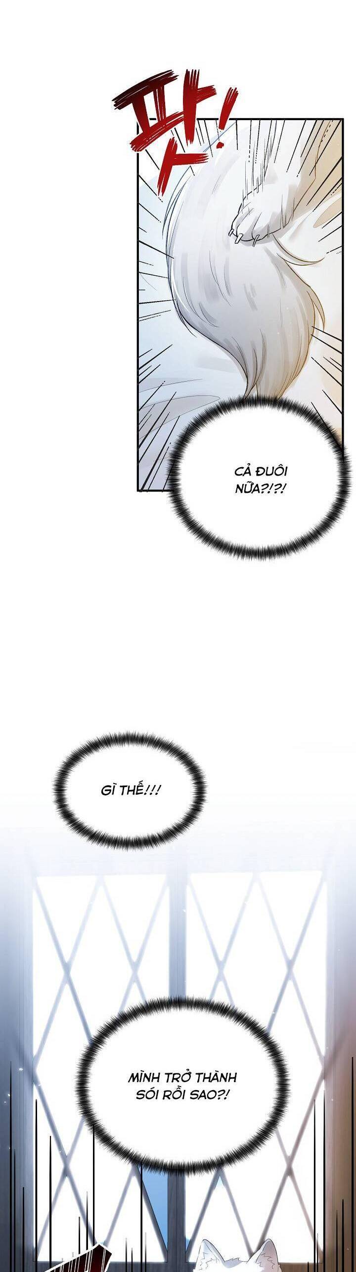 Nữ Chính Muốn Tôi Trở Thành Chị Dâu Của Cô Ấy Chapter 19 - 37