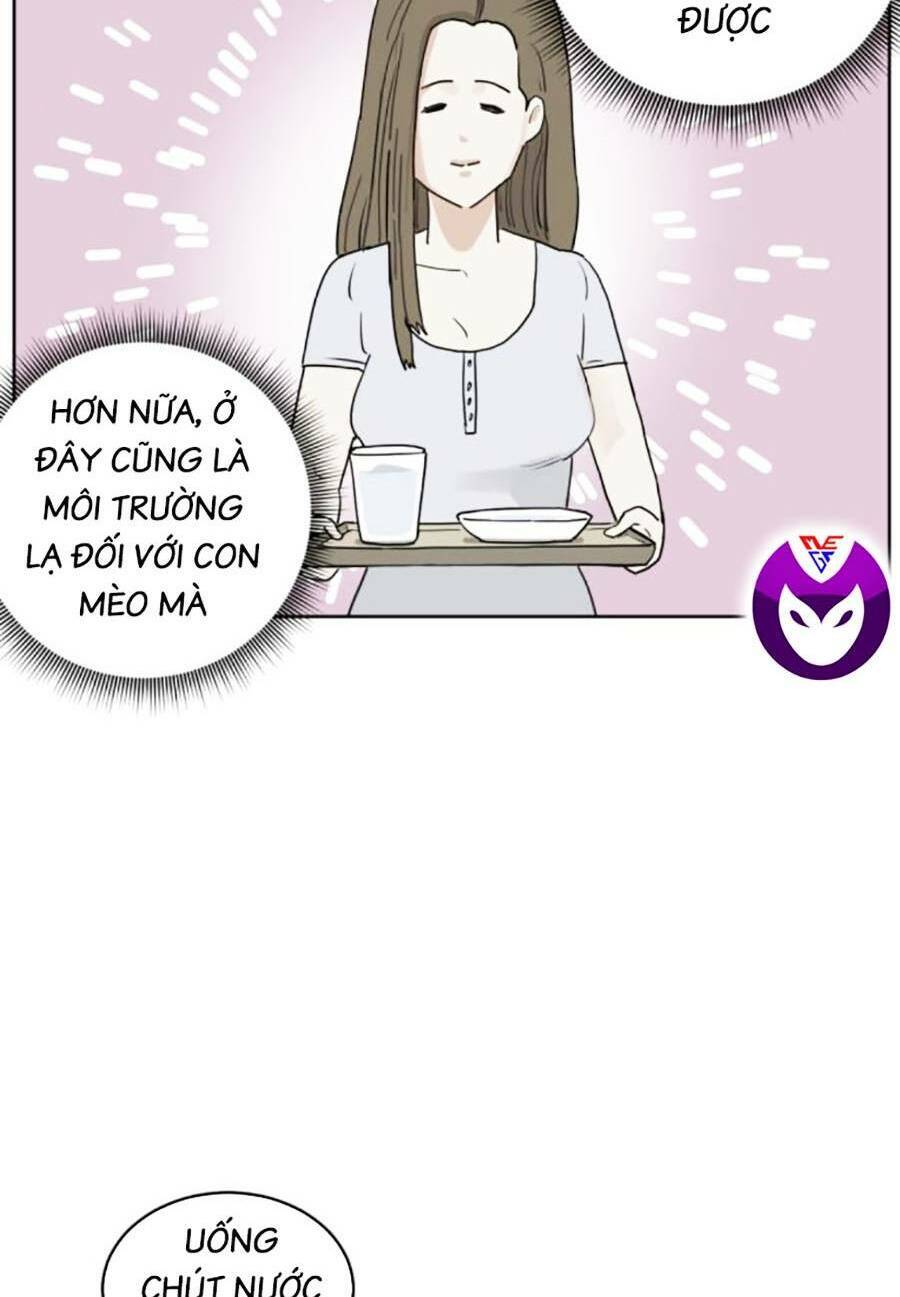 Con Mèo Đô Vật Của Tôi Chapter 3 - 35