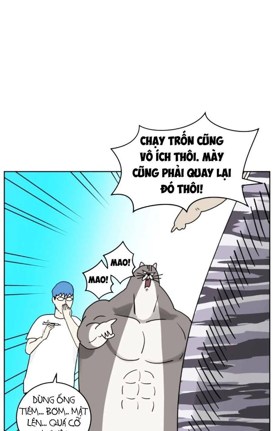 Con Mèo Đô Vật Của Tôi Chapter 5 - 62