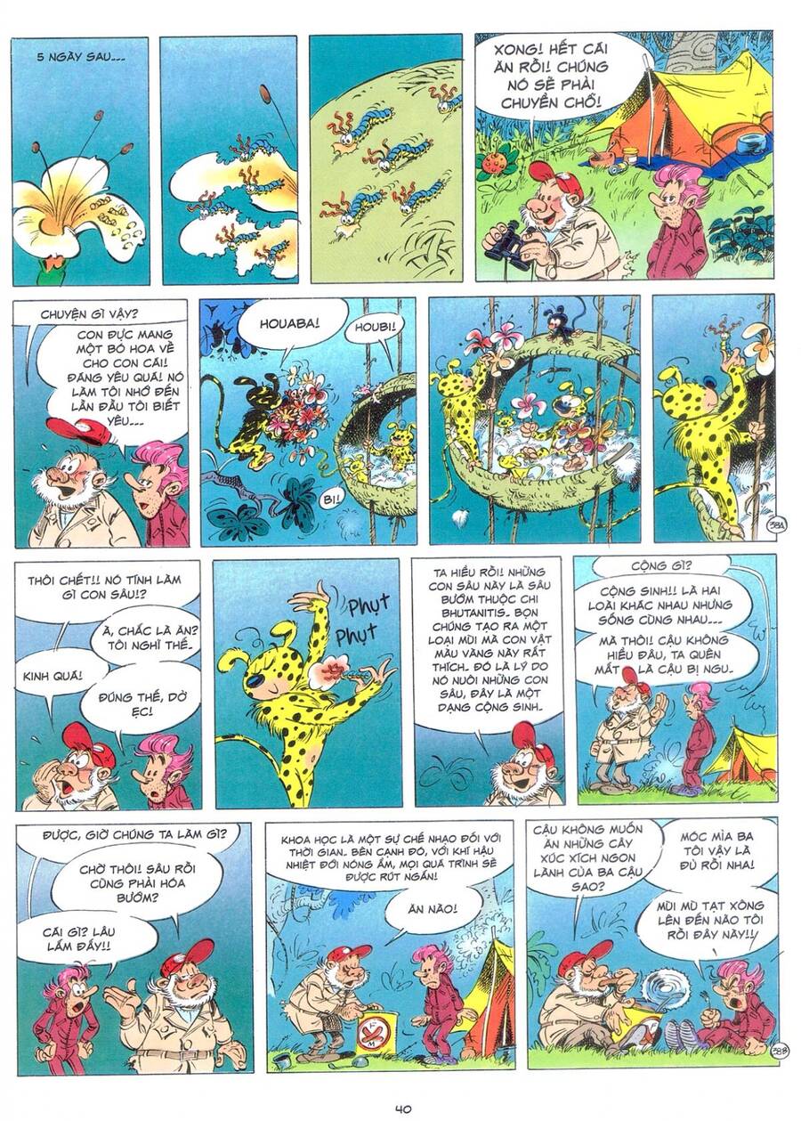 Marsupilami Chapter 9 - 39