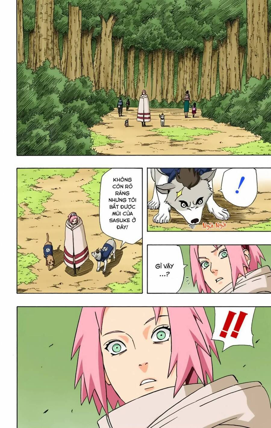 Naruto Full Màu Chapter 355 - 14